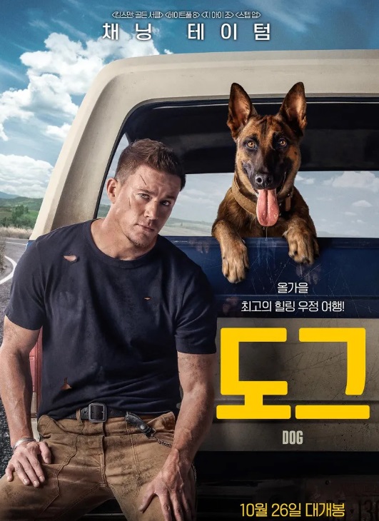 도그.jpg